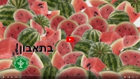 לכבוד הקיץ ויום האבטיח הבין-לאומי שחל מחר, משרד החקלאות מציע טיפים לבחירת אבטיח: כיצד לרכוש אבטיח משובח וכיצד לאחסן אותו לשמירת טריותו