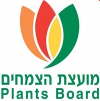 סיכום ביניים לעונת ההדרים – נכון לסוף מרץ 2020