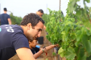 הזום של החקלאים: הכירו את האפליקציה כחול-לבן שהצילה מאות אלפי טונות של פירות וירקות